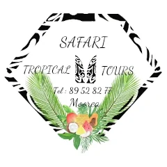 création du site web Saftropicaltours Moorea